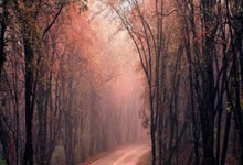 海星体育：[球之夜]国小将：不让青春等待.