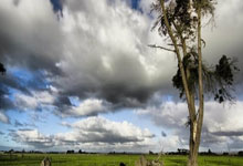 海星体育：[欧冠]终场前连入两球 勒沃库森主场2-0力克马竞.