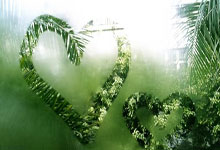 杭州亚残运会运动员风采:每一箭的信心与信任中国新闻网.